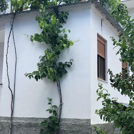 Click Apartment *